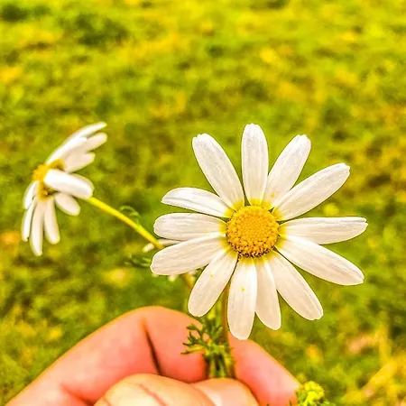A Casa Di Oba, A Pochi Minuti Dal Mare *