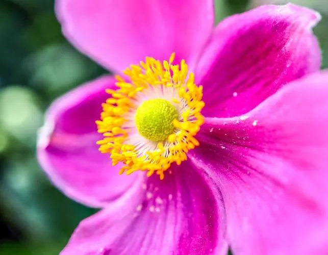 A Casa Di Oba, A Pochi Minuti Dal Mare Апартаменты Пула