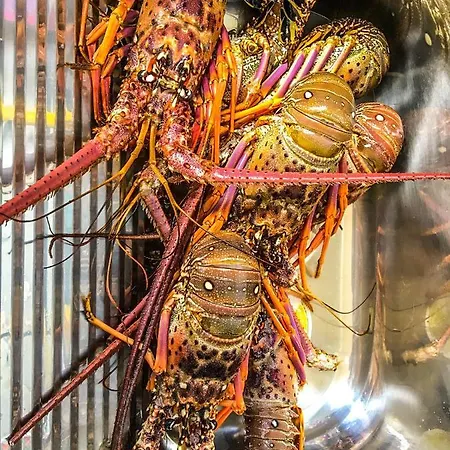 Apartmán A Casa Di Oba, A Pochi Minuti Dal Mare