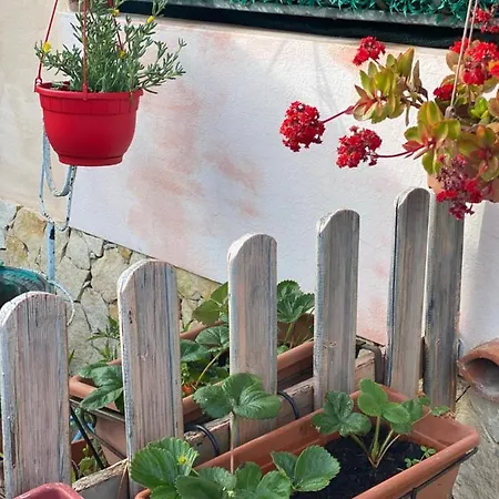 A Casa Di Oba, A Pochi Minuti Dal Mare