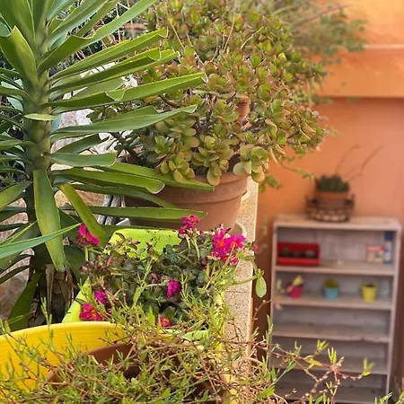 A Casa Di Oba, A Pochi Minuti Dal Mare Pula