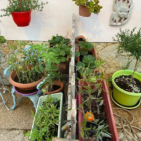 Lägenhet A Casa Di Oba, A Pochi Minuti Dal Mare Pula