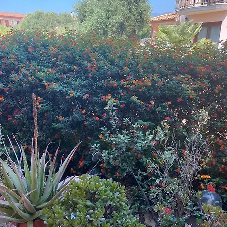 A Casa Di Oba, A Pochi Minuti Dal Mare * Pula