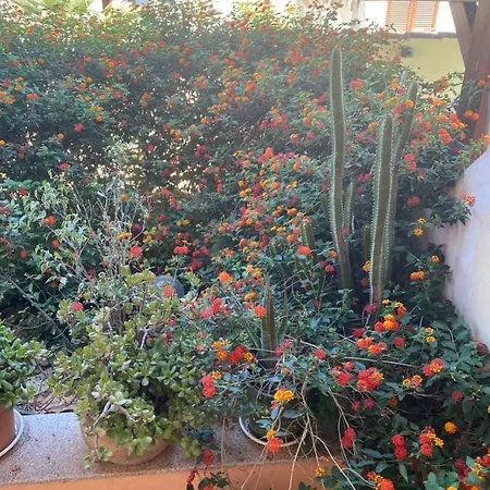 A Casa Di Oba, A Pochi Minuti Dal Mare Apartment Pula